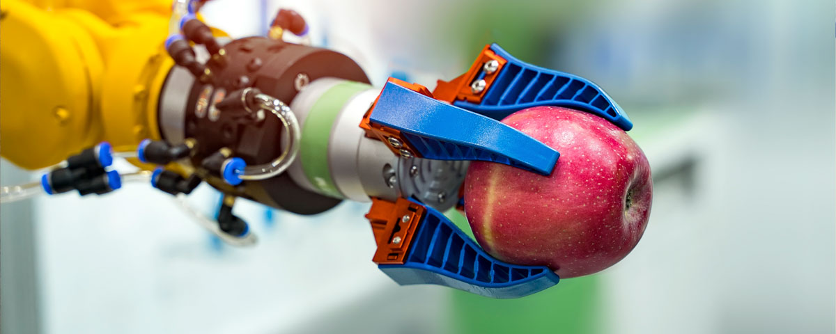 Food processing robotic arm holding an apple